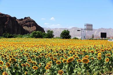 《点睛》登陆Steam 水墨画风休闲动作新游