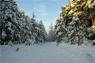 《暗黑4》Steam评价升至“多半好评” 4天新增千条好评